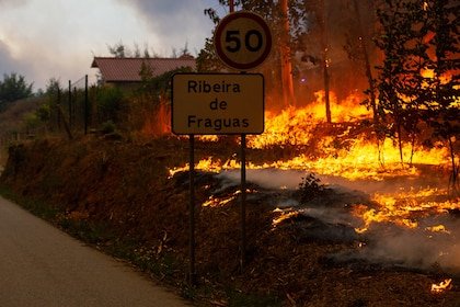 Persisten los devastadores incendios forestales en Portugal: al menos cuatro muertos y dos sospechosos detenidos