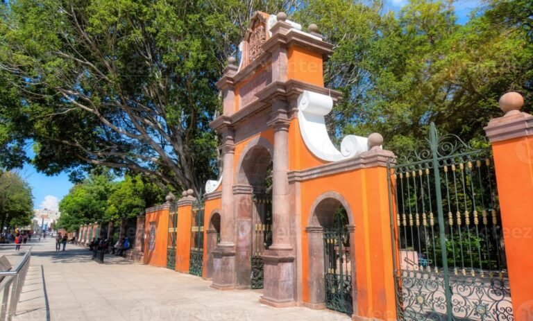 Instalación de más de 100 luminarias nuevas en la Alameda Hidalgo