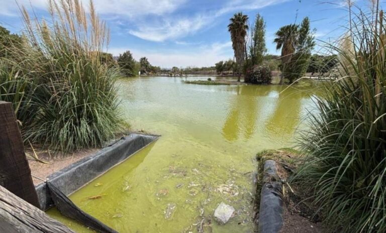 Municipio pide claridad sobre posible afectación ambiental por el tren México–Querétaro