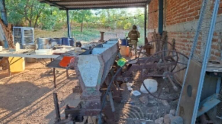 Golpe en Sinaloa: Ejército localiza laboratorios con explosivos y 3,500 litros de químicos