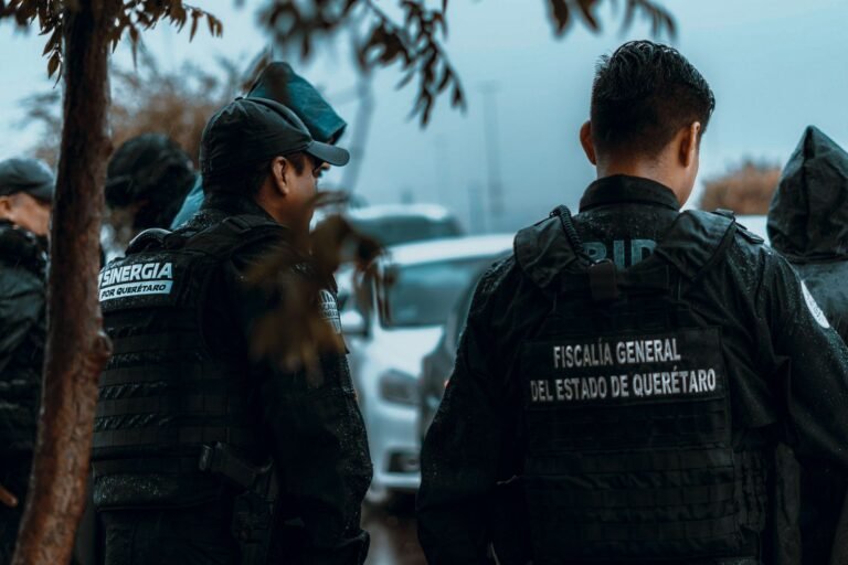 PID realiza 269 detenciones y recupera 43 vehículos durante noviembre