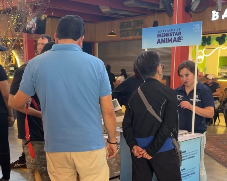 Municipio de Querétaro realiza acciones permanentes de bienestar animal