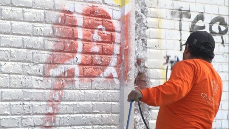 Mejora Felifer Macías la imagen urbana en las siete delegaciones