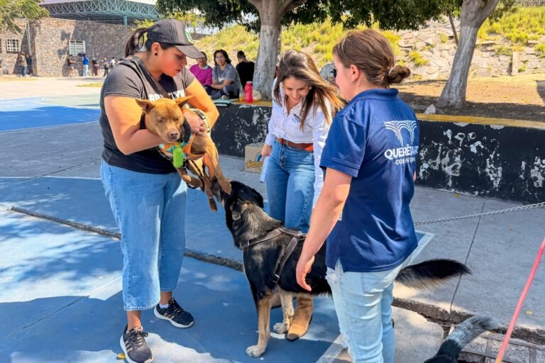 Impulsa Felifer Macías el bienestar de los seres sintientes con acciones integrales en todo el municipio