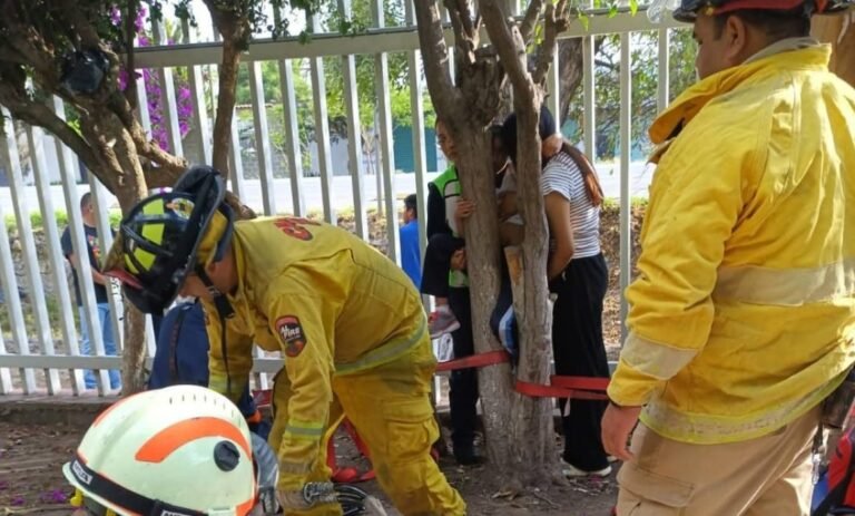 Niña queda atrapada en un árbol en primaria de Pedro Escobedo