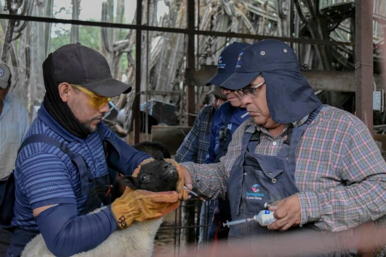 Corregidora acerca Jornada de Salud Animal a la comunidad de La Cueva
