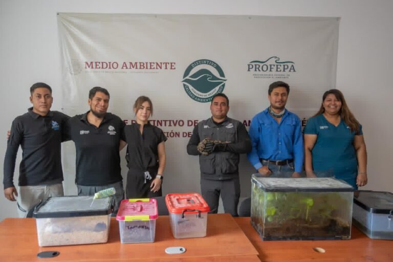 IMPA asegura especies exóticas y endémicas de Querétaro