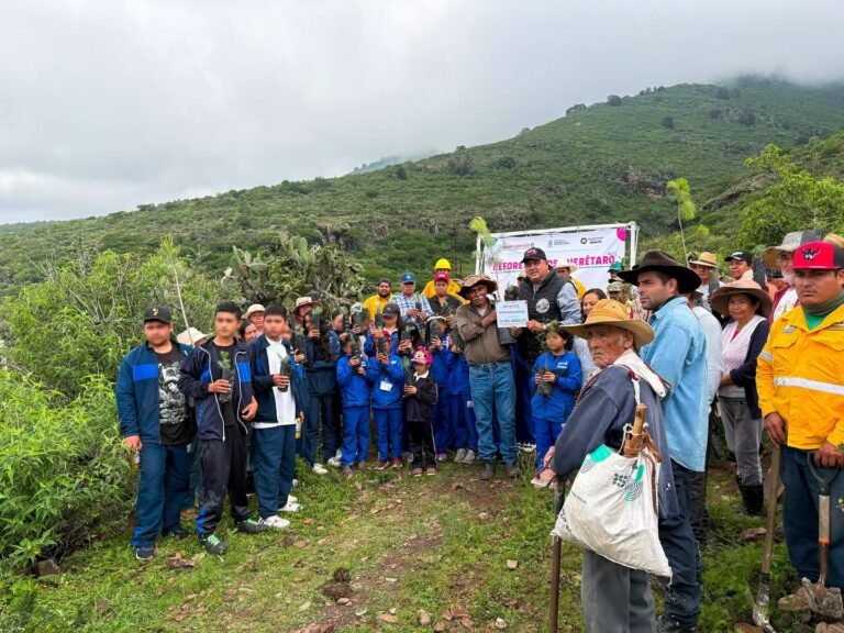 Reforestación Masiva en Colón