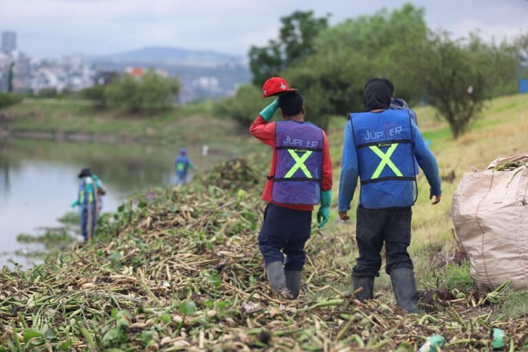 Participa UAQ en la rehabilitación ambiental del bordo Benito Juárez, en el Querétaro 2000