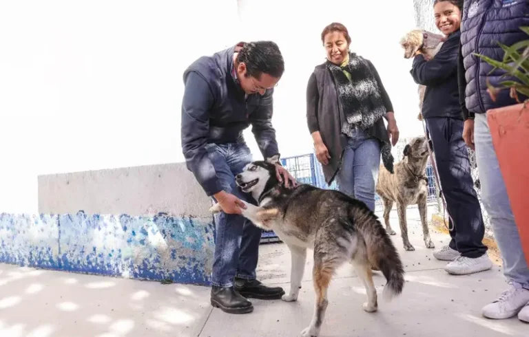 Corregidora arranca la segunda etapa de la campaña gratuita “Esteriliza y Protege”