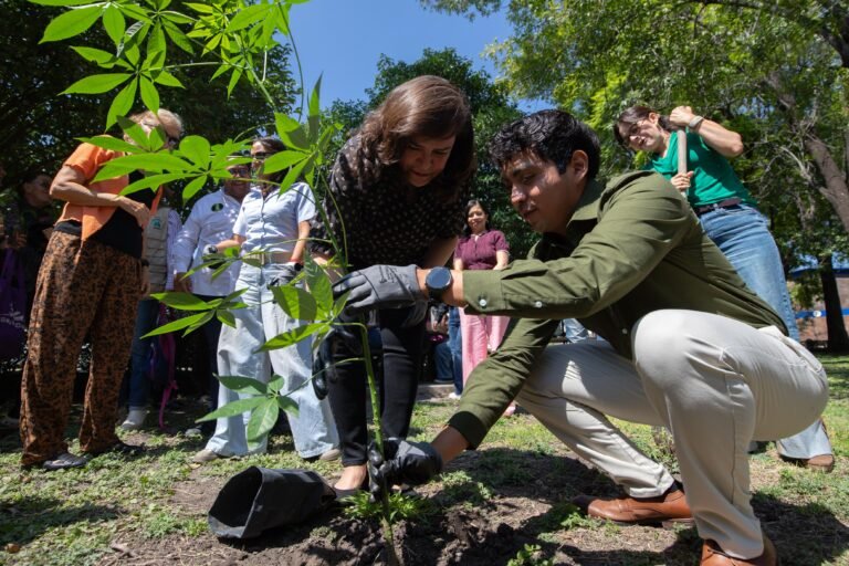 Reintegra UAQ vegetación en sus campus con más de 500 árboles nativos