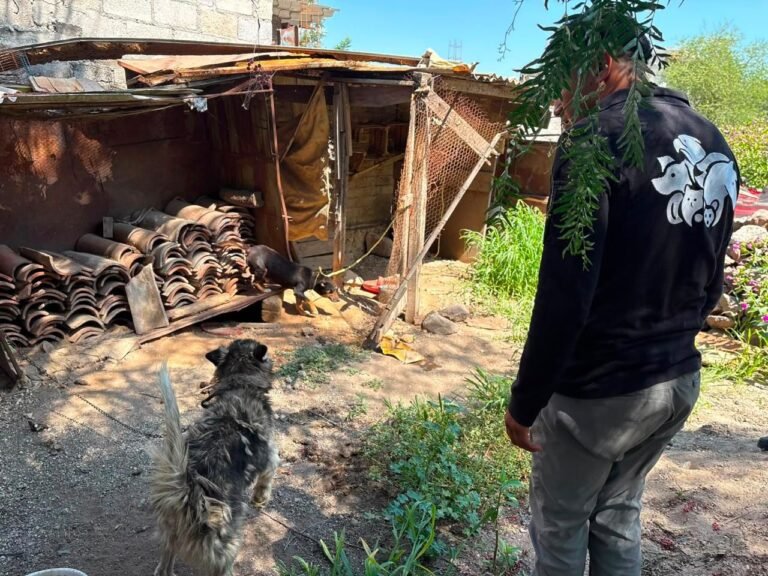 Atiende IMPA reporte por posible maltrato animal en la comunidad de La Providencia