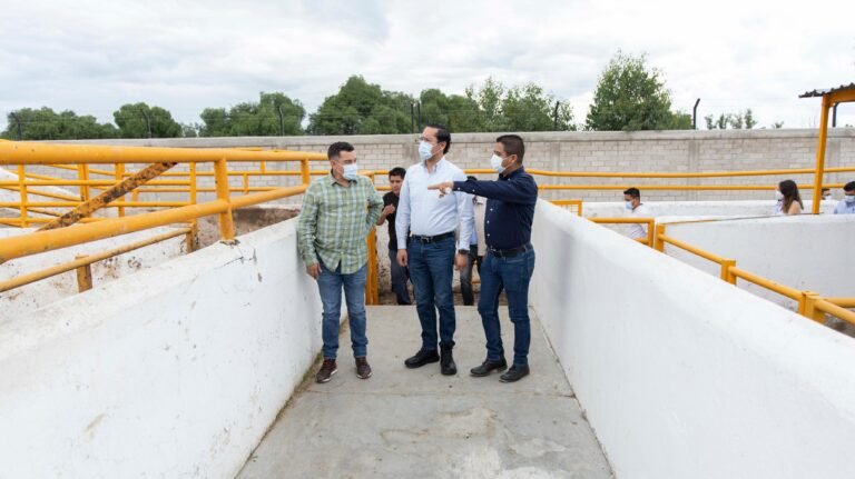 Rastro de Corregidora garantiza sanidad en más de 44 mil procesamientos