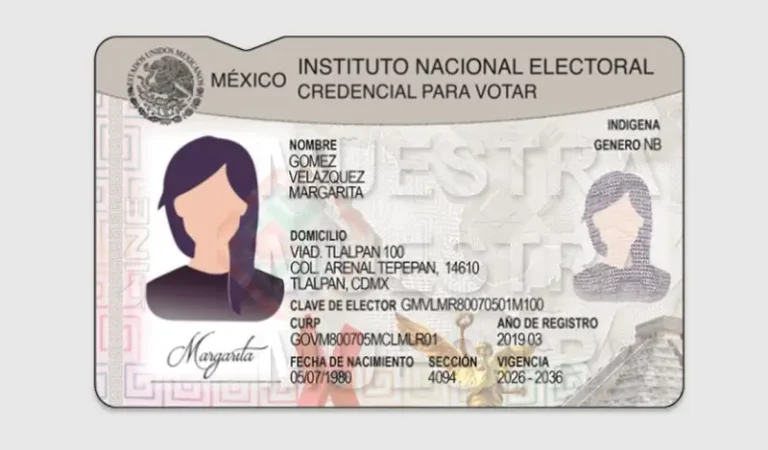Identificación indígena en credencial será voluntaria: INE
