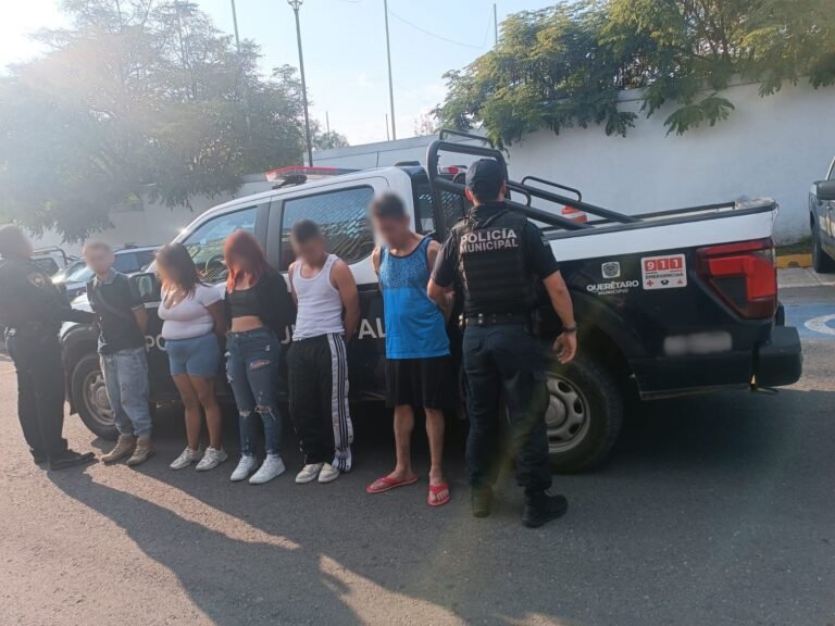 Detenidas cinco personas por robo a lugar cerrado en la colonia Real de España