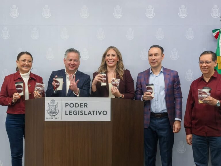Morena busca reforzar identificación de riesgos en perfiles electorales