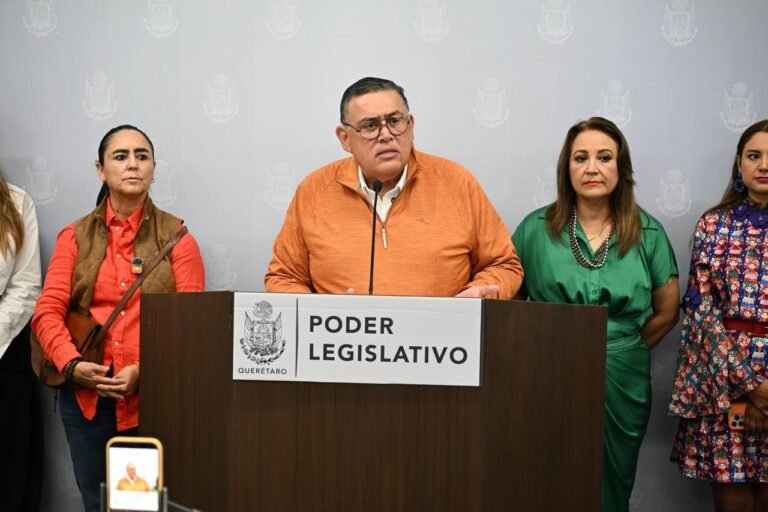 Pirotecnia fría, la apuesta de Armando Rivera para proteger a personas vulnerables y animales