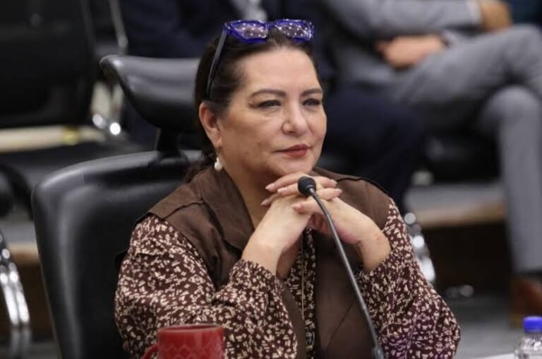 Formaliza Taddei su renuncia al INE ante la Cámara de Diputados