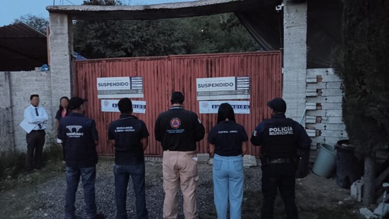 Municipio de Querétaro suspende pensión de perros por irregularidades; asegura a 28 ejemplares